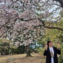 경S 비어 | 경주/불국사] 뚜벅이의 4월 둘째 주 경주 불국사 방문 후기 (버스, 물품보관소, 겹벚꽃 개화 현황, 굿즈샵)