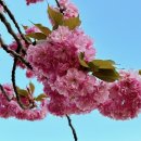 발한공원 이미지