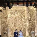 센트럴파크 7 | 💍 송도 센트럴파크 호텔 웨딩 후기 | 워터폴홀 7층 | 혼자 하객 생존기