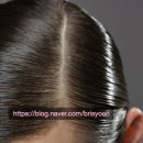 브리스윤서 이미지