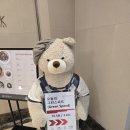 명문세탁 | 제주 테디밸리cc 잔디 상태는 어떨까? 라운딩 후기