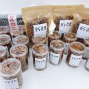 어메이스(Amace) 이미지