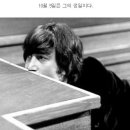 매시브마켓