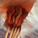 차마고도능이버섯 | 제천여행 제천팸투어 2일차 후기