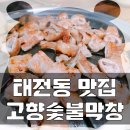 고향생돼지 이미지