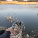 오목낚시터(신창낚시터) 네이버블로그