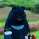 천년의 정원 이미지