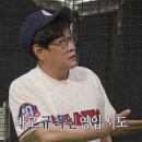 제안메이트