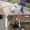 호돌이농장 이미지