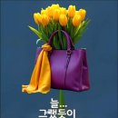 🌟거머리의 애원🌟 이미지