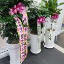 약손119안마원 이미지