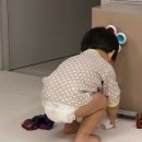 그린에코사이클㈜ | 덴마크 친환경 기저귀 밤보네이처 5단계 팬티형 사용 후기 #기저귀추천 #밤보네이처