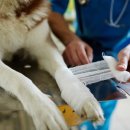 하동동물병원 이미지