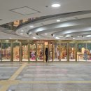 벨루가 | 잠실 롯데월드 아쿠아리움 가격 할인 벨루가 후기