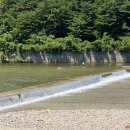 양양 고인돌 오토캠핑장 이미지