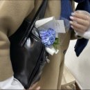 호픽쳐 이미지