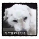 하트 멜로디(Heart Melody) 이미지