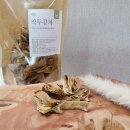 차담온 이미지