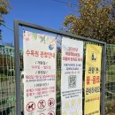 반여농산물시장역 | [부산 해운대수목원] 해운대수목원 단풍 구경 찐후기🍂(부산 아기랑 가볼만한 곳)