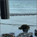바다와돼지 네이버블로그