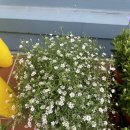 난파센 | 부산 광안리 남천동 텐동 맛집 | 난파센 웨이팅 내돈내산 후기