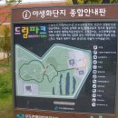 10월10일(화)인천 드림파크공원 꽃길걷기 이미지