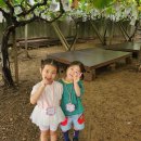 9월 1주차 - 캠벨 포도농장 🌳🍇💜 이미지