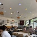 포항우렁이농장 | 🍚 포항 소담쌈밥 솔직 후기｜깔끔하고 정갈한 쌈밥 한상 맛집 (직접 키운 쌈채소 무한리필)