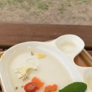 니나노 제주 이미지