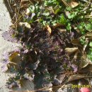 여남초등학교 이미지