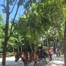 여우카 | 아이와 태국여행 진리의성전 , 카오키여우 오픈주