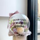 청춘풍선 이미지