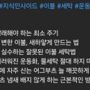 세탁예술가 이미지