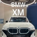 미래의 럭셔리를 담다, BMW XM 완전 분석