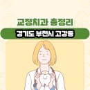 유하메디빌딩 | 경기도 부천시 고강동 교정치과 총정리
