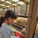 광사품태권도장 이미지