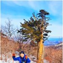 만항적조암 | 함백산소공원~창옥봉~함백산~중함백봉~샘물쉼터(적조암) 삼거리~자장율사순례길사거리~정암사~정암사...