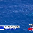 동물의 왕국 이미지