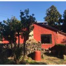 춤추는달 이미지