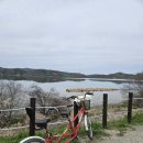 창녕 우포늪 | 창녕 우포늪 자전거 후기ㅣ초등 저학년도 완주 가능한 코스 총정리