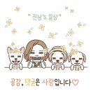 옛날시골손칼국수 이미지