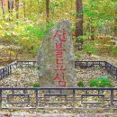 문화재답사 이미지