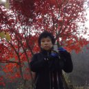 신씨네마을 이미지