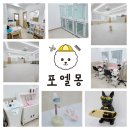 포엘몽 이미지