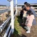 크크크키즈풀빌라(다) 이미지