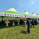 일상 속 생활 꽃꽂이 이미지