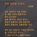 상한 영혼을 위하여(고정희) 이미지