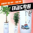 원당 한미 태권도장 | [태권도 검도 발레 피티샵 필라테스]운동학원 개업화분 센스있는 곳 추천