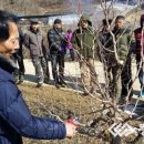 주현주농장 이미지