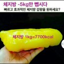 핑운동&힐링다이어트